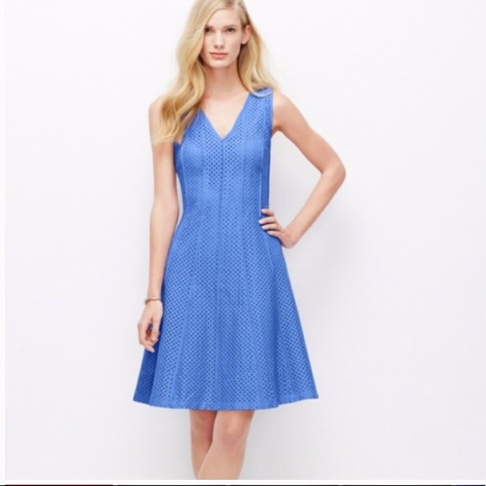 Ann Taylor Seamed Eyelet A-Line Dress